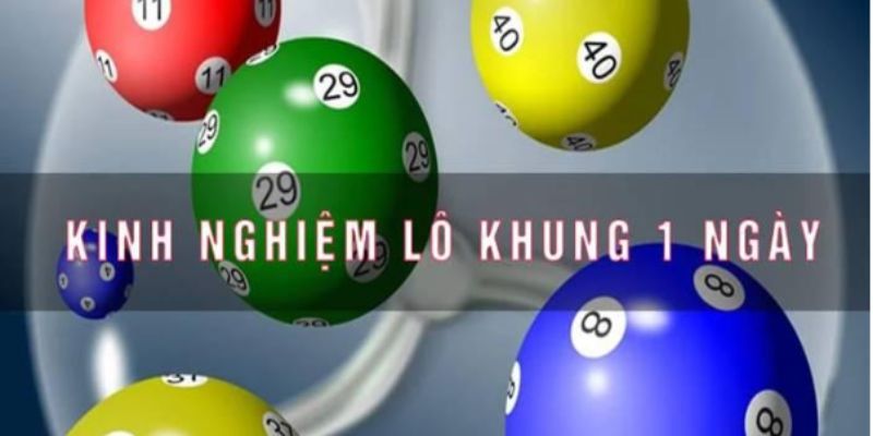 Cách nuôi lô khung 1 ngày chuẩn nhất